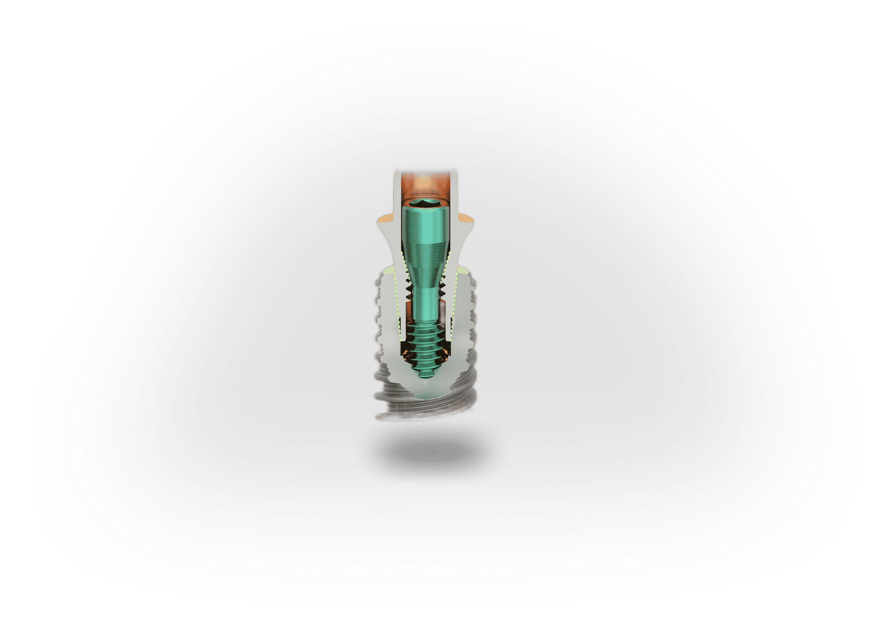 roott-r-2
